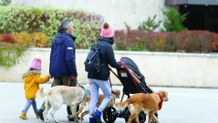 Семейства остават без детски помощи