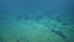 Изследователи откриват мистериозен жълт път на океанското дъно: Той води към Атлантида (ВИДЕО)