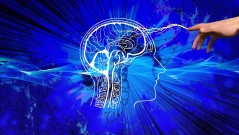 Вселената е интелигентна - и вашият мозък я използва, за да формира вашето съзнание, твърди биофизик