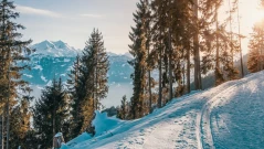 НИМХ с прогноза за времето на Йордановден и Ивановден