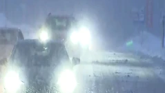 "Само при крайна наложителност": МВнР предупреди българите в Полша и тръгналите натам