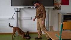 Орка - първото куче, което ще търси фалшиво евро в България (СНИМКИ)