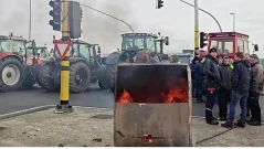 Въпреки гнева на фермерите: ЕС дава зелена светлина на спорната сделка за храните между ЕС и МЕРКОСУР