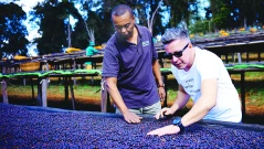 Нискокачественото кафе създава стрес за организма