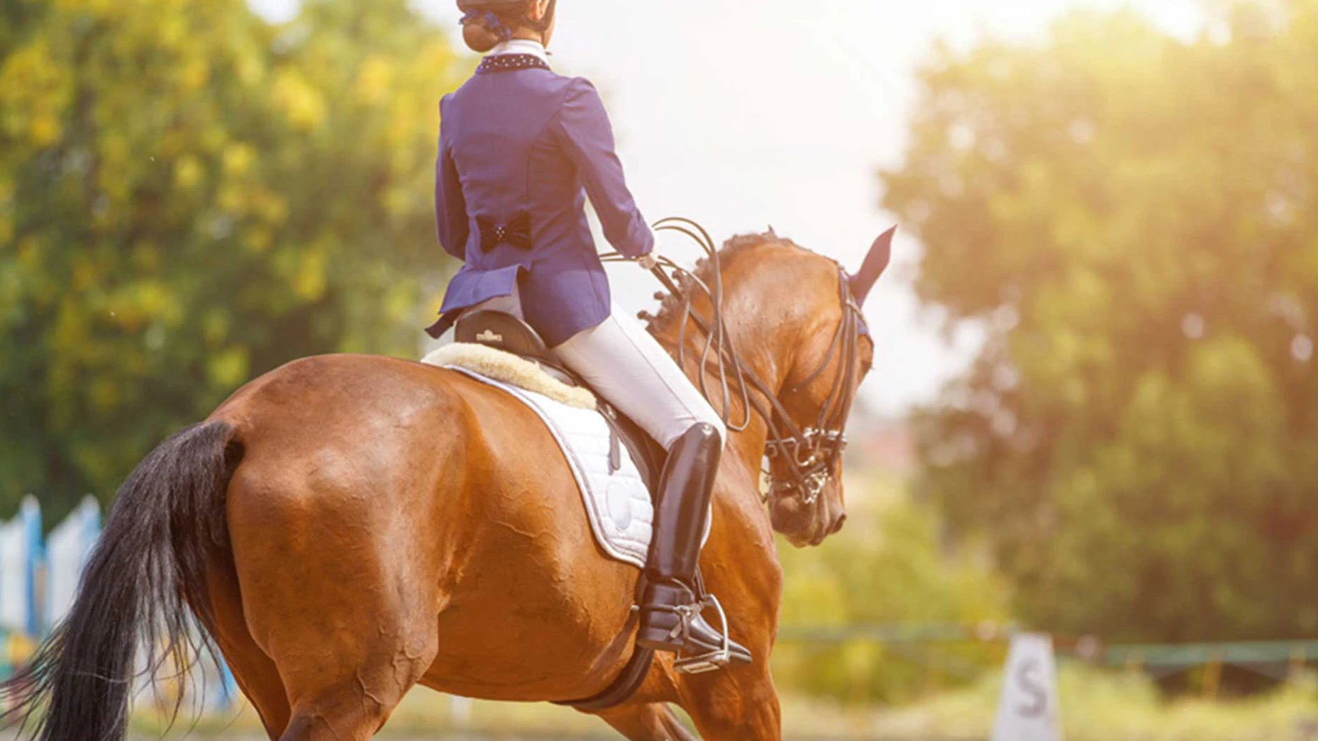 Подушвали телесна миризма от хора гледали страшни филмиИзследването показва колко