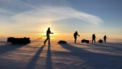 Шведските войски са напуснали Гренландия