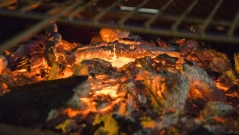 Учени разкриват зимен навик, който може да убива хиляди всяка година