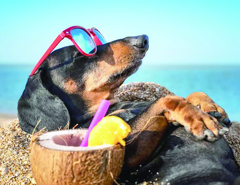 И Ми и и Да а а бе А не