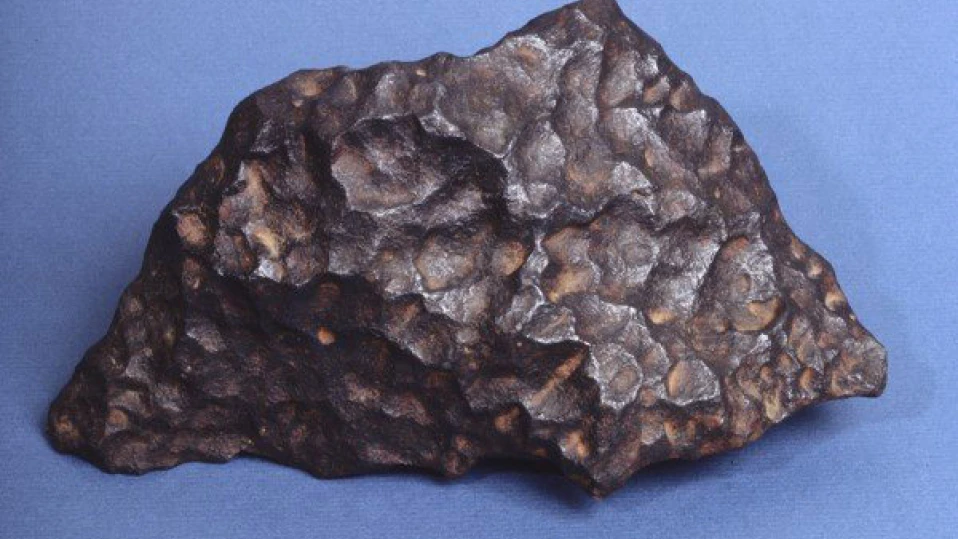 Снимка: Архив