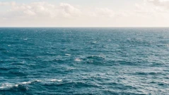 Тревога: Откриха морска мина в Черно море