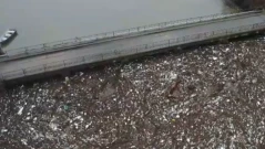 Тонове боклуци от река Черна се изливат в Дунав (СНИМКИ)