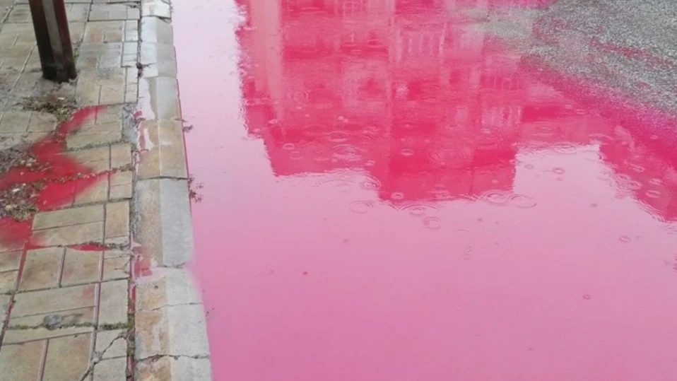 Мистериозни червени локви се появиха на няколко места в централната