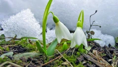 Месечна прогноза за времето: Февруари започва с валежи от сняг