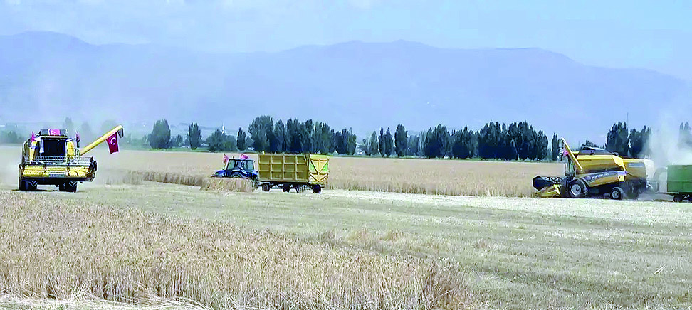 Отразява се негативно на реколтатаЕкспертите предупреждават че има вероятност от