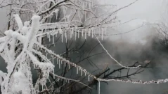 Жълт код за студ в седем области в страната