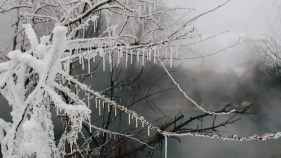 В сряда 4 февруари времето в България ще бъде предимно