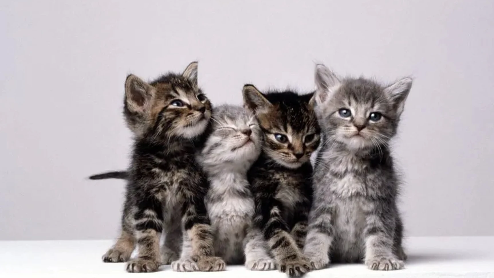 Открити са кожени облекла и различни инструменти53 годишните Детелин Аврамов