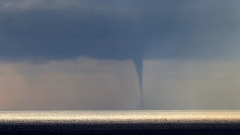 Снимка: Twitter