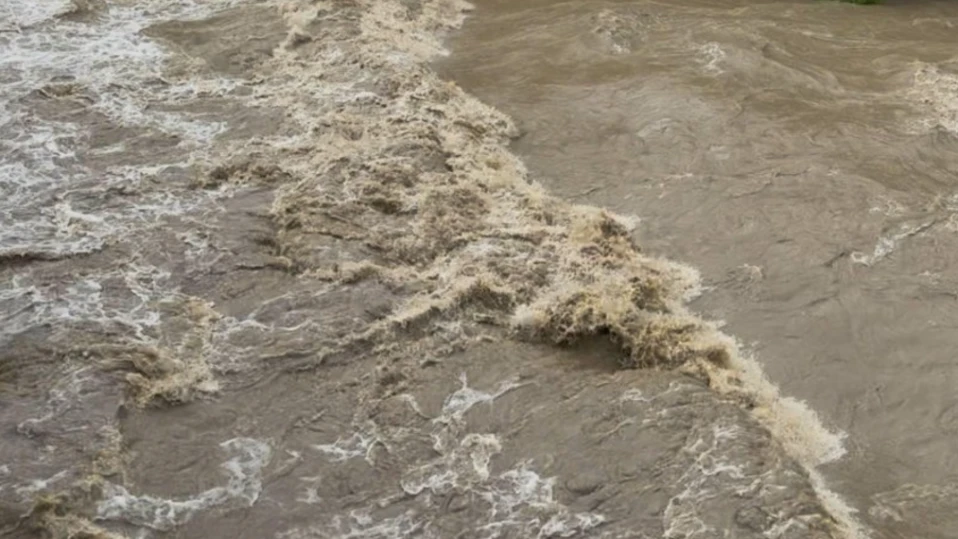 В Неделино бяха евакуирани кокошки и зайци от животновъдна ферма