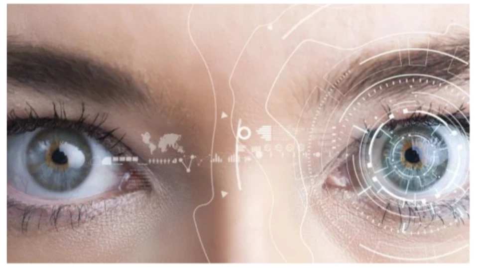 Учените отдавна изследват как зрителната система постига енергийна ефективностЧовек може