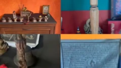 Олтар, фигури и ритуални предмети - Стая в „Петрохан“ е превърната в будистки храм (ВИДЕО)