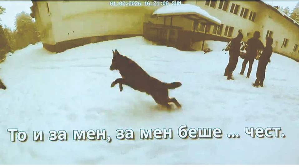 Дано поне някой си даде сметка за масовата психоза и