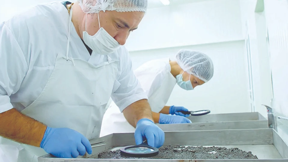 Моруна руска и сибирска есетра гледат производителите в рибовъдните ни