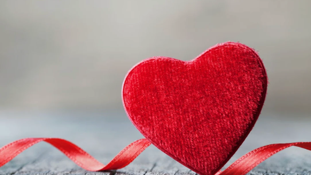 Празникът на влюбените се отбелязва със специална инициатива на зоопарка