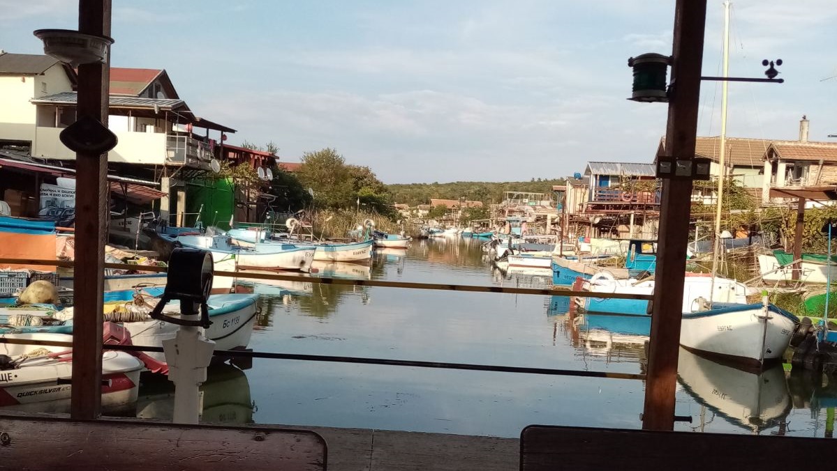 Сафридът излиза през майС корабите си морските вълци ловят хамсияСкорпидът