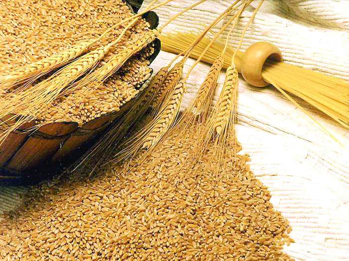 Живите животни поевтиняхаВдигнаха цените на яйцата с близо 17 на