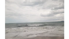 Температурата  на морската повърхност  в света достигна рекордно ниво
