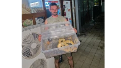 Питонът Снежка избяга от апартамент и се озова на детска площадка