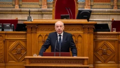 Унгарският парламент отстрани президента с поправка в конституцията