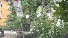 Предупреждение за мощни бури в София: Столична община с важни препоръки