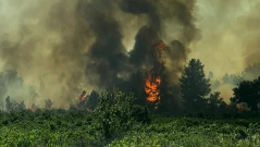 Голям пожар гори край АМ "Тракия" при отбивката за Велинград, карайте внимателно! (СНИМКИ и ВИДЕО)