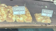 Сиренките само в евро: По морето се сбогуват с лева