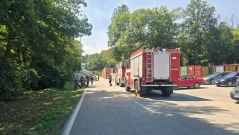 Прокуратурата в Габрово разследва пожара в склада за боеприпаси край Трявна