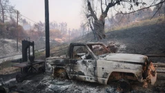 Огромният пожар в Халкидики е овладян: 481 туристи бяха евакуирани по море
