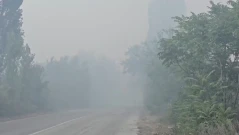 Пожарът край Дупница обхвана 15 декара, екипи останаха на място през нощта
