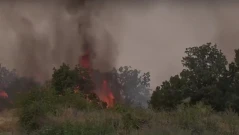 Дете на 13 години е причинило големия пожар край Хасково