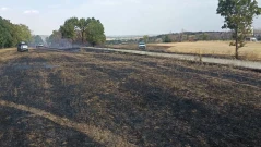 Пожар унищожи 100 декара до магистрала "Тракия" в Пазарджишко