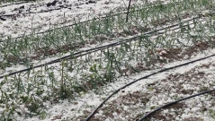 Обявиха риск от градушки за неделя, 13 септември
