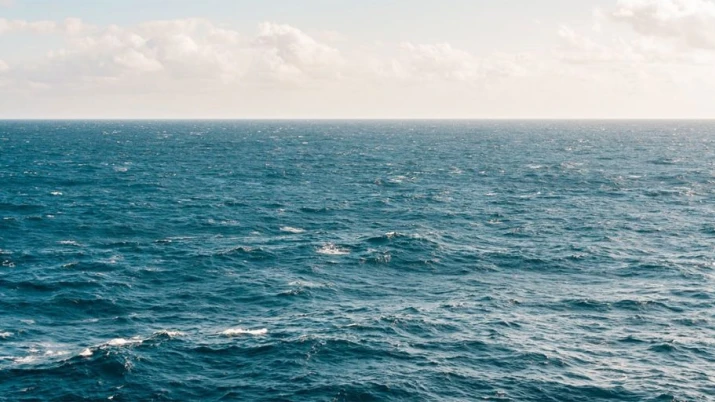 море обща