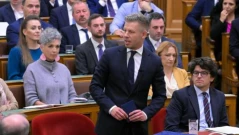 Унгарският премиер Петер Мадяр остана без имунитет